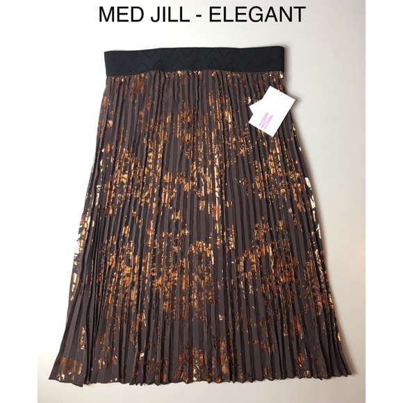 LuLaRoe Dresses & Skirts - LuLaRoe Jill Skirt (M) NWT